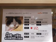 -屋虎猫馆(宝安大仟里店)