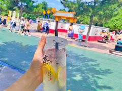 -沈阳方特欢乐世界