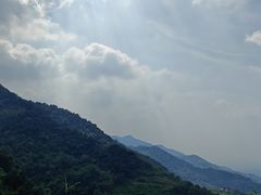 -王顺山国家森林公园