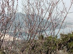 -北京十三陵国家森林公园蟒山景区