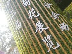 -汇龙潭