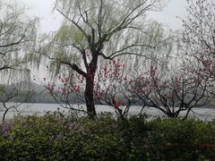 -苏堤停车场