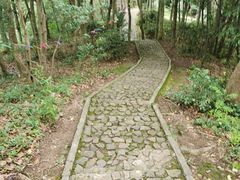 -上海佘山国家森林公园天马山园