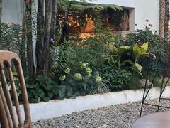 -自由生长植物工作室(深港花卉中心店)