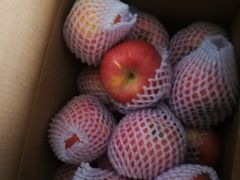 -江杨农产品批发市场