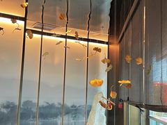 -京华烟云·北京烤鸭(领展购物广场·中关村店)