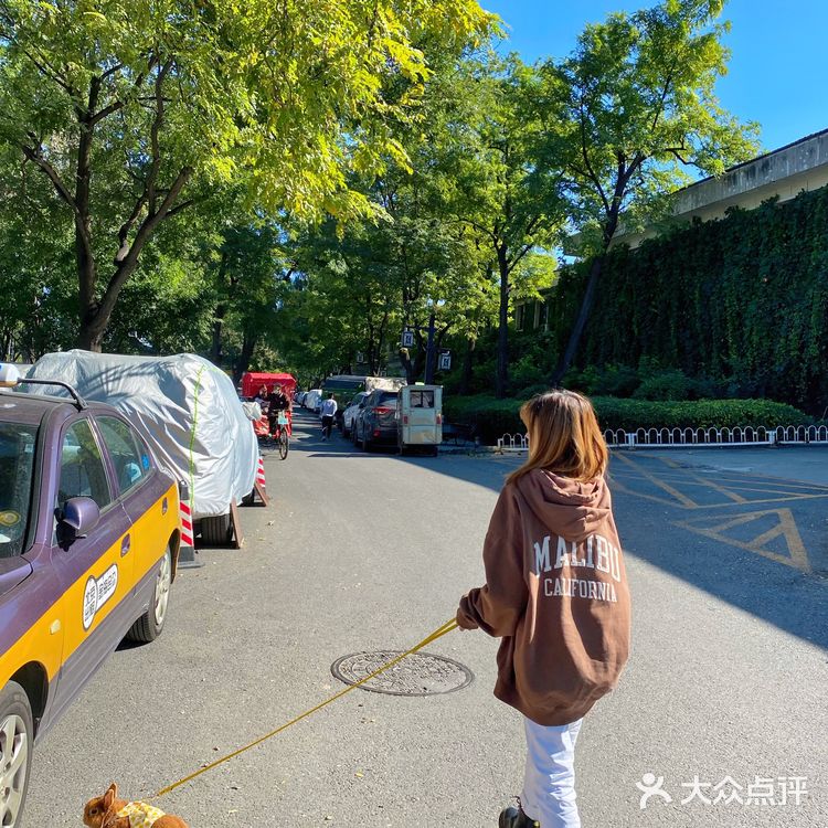 北京探店｜在后海街边遛兔子🐰