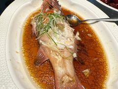 -御沪沪味园.融合菜.海鲜(斜土路店)