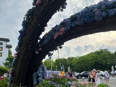 -无锡蠡湖国家湿地公园-蠡园