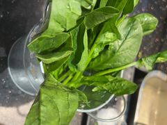 菠菜-五星桥原切肥牛火锅·30年专注好牛肉(湖塘店)