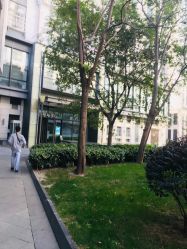 -M2匠心美甲美睫半永久