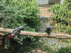 -九龙公园