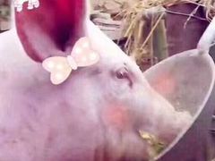 -杭州钱江新城万怡酒店-西餐厅