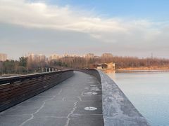 -昆山城市生态森林公园