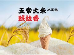 -野人牧坊Gelato(天津南开大悦城店)