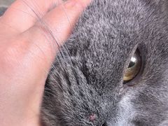 -纳吉亚猫专科动物医院博雅分院