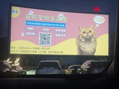 -枫花园汽车电影院(朝阳公园店)