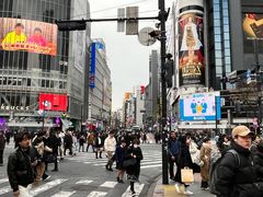 -涩谷全向十字路口