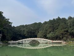 -铁山坪森林公园