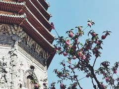 -玲珑塔公园
