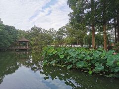 -浙江西子宾馆·牡丹厅