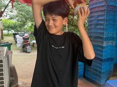 -老袁家蜜桃农场·阳山水蜜桃