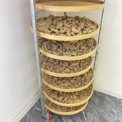 -颜囍皮肤管理&躺姜养生