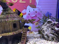 -海合安青岛极地海洋公园