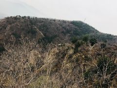 -北京鹫峰国家森林公园