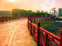 -蒲河大集