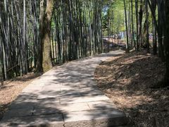 -西湖风景区十里琅珰-五云山
