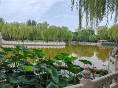 -丰台花园