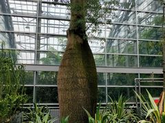 -南山植物园