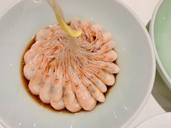 -南麓·浙里(外滩店)
