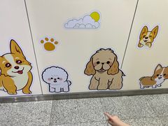 -杭州市第三人民医院