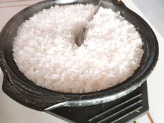 -煲来饱去冷水鱼