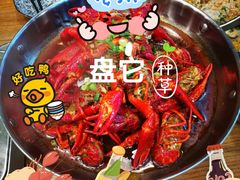 -虾小龙老长沙龙虾馆(坡子街店)