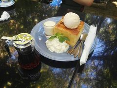 -Fern Forest Cafe