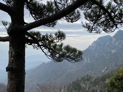 -王顺山国家森林公园