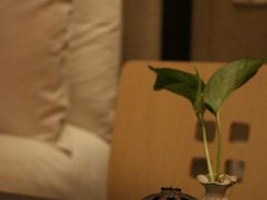 -成都皈徕栖精品酒店(四川大学九眼桥店)