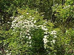 -宜昌富力皇冠假日酒店·咖啡1号西餐厅