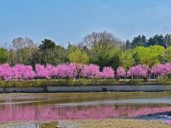 -南京珍珠泉风景区
