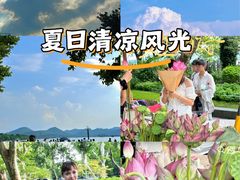 -西湖天地