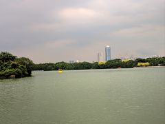 -海珠湖公园