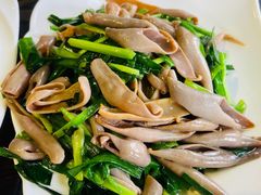 -鲁前海沿儿