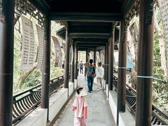 -上海佘山国家森林公园天马山园