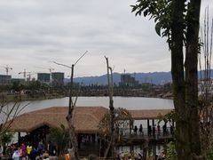 -枫香湖儿童公园