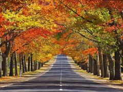 -山王坪喀斯特国家生态公园