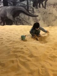 -恐龙探索乐园(磁器口店)