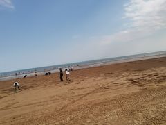 -日照海滨国家森林公园